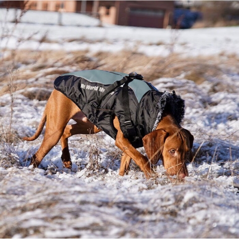 My Rules Winter Jacket | M. Sele. Kuno bruger 4XL