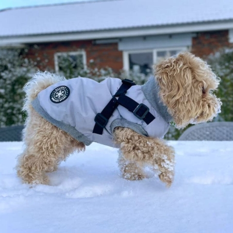 Ollipet Winter Sport hundejakke Kenzo bruger str. S - 35 cm