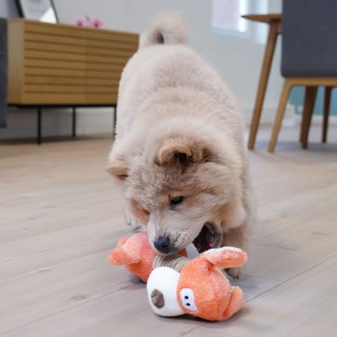 Lange Plysdyr & Carla på 17 uger