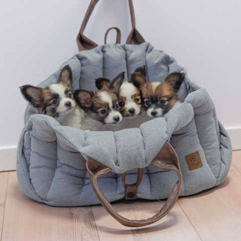 Ollipet transporttasken er ideel til hvalpe