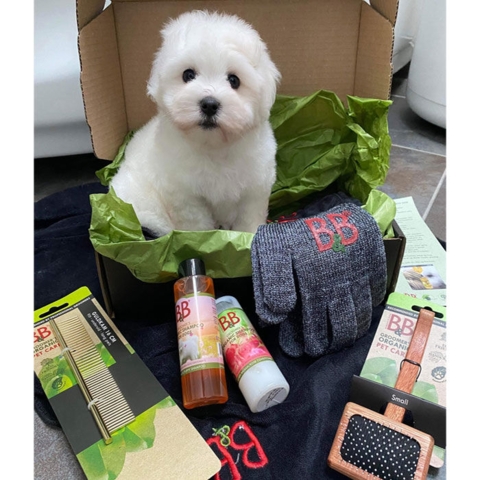 B&B hvalpe startsæt