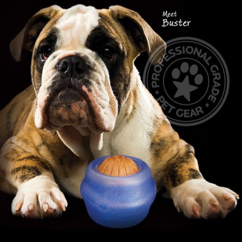 Starmark Everlasting Treatball