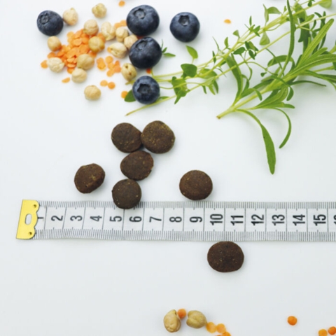 Carnilove True Fresh Beef