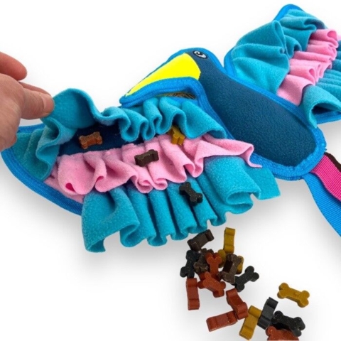 Woodpecker With Sniffing Wings