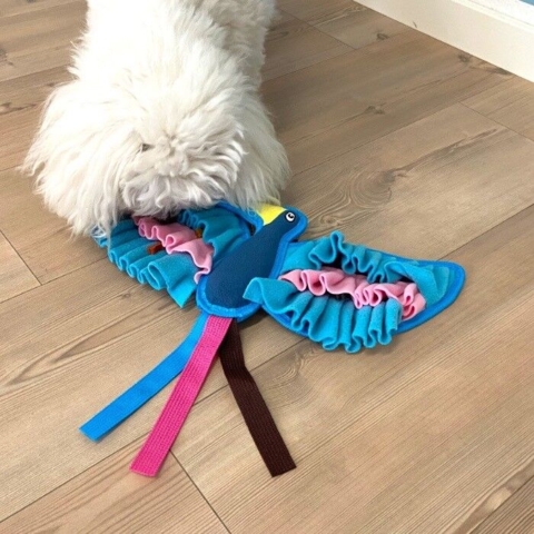 Woodpecker With Sniffing Wings