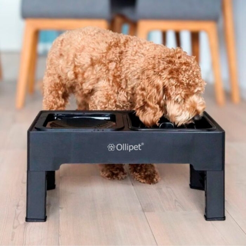 Ollipet Tanaka Foderstation kan reguleres i højden