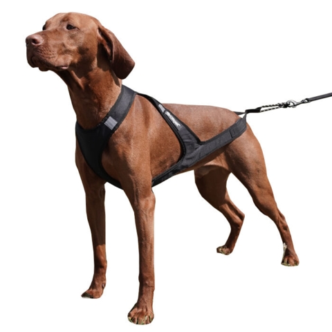 Ollipet Fast Runner Træksele