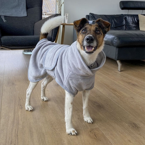 Tørredækken fra Ollipet i str. 40 cm på hund.