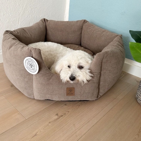 En hundekurv der passer ind i alle hjem i populær brun farve