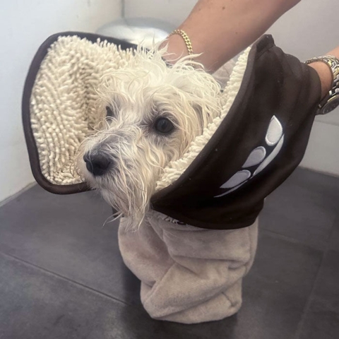 Ollipet Dry Bag med lommer til hænderne