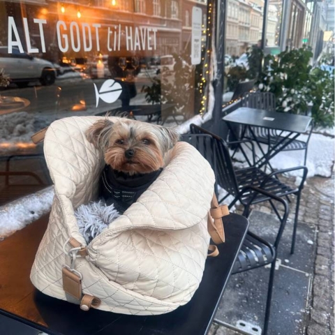 Ollipet Milano Bilsæde 3i1 | Sand er den perfekte hundetaske til en bytur