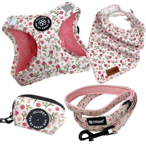 Ollipet City Lux sæt | Små Roser