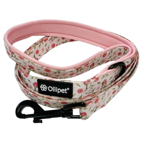 Ollipet City Lux sæt | Hundesnor