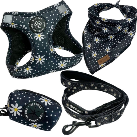 Ollipet City Lux sæt | Margueritter