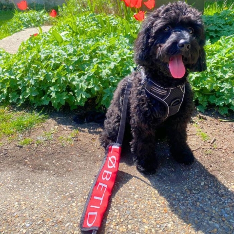 Ruth nyder det gode vejr i fred og ro med Ollipet Løbetid Mærkat
