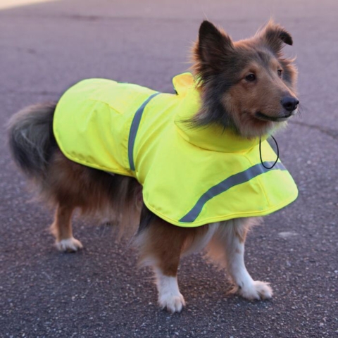 Ollipet Outdoor Rain Shield