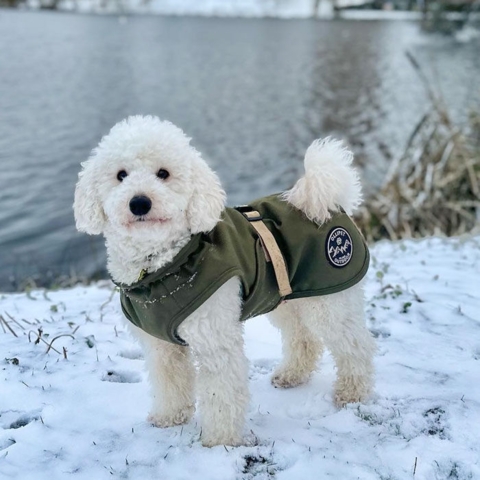 Ollipet Hunting Outdoor Vinterdækken