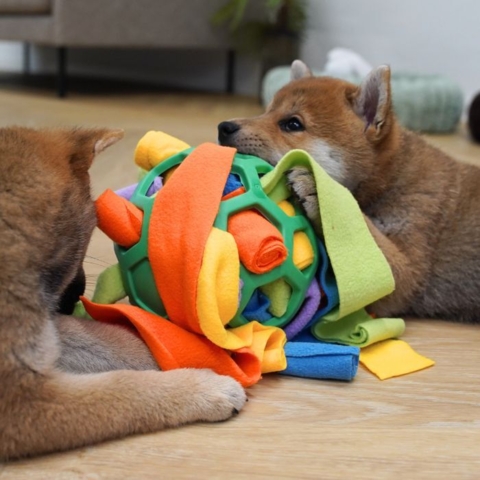 Kan også aktivere to hvalpe