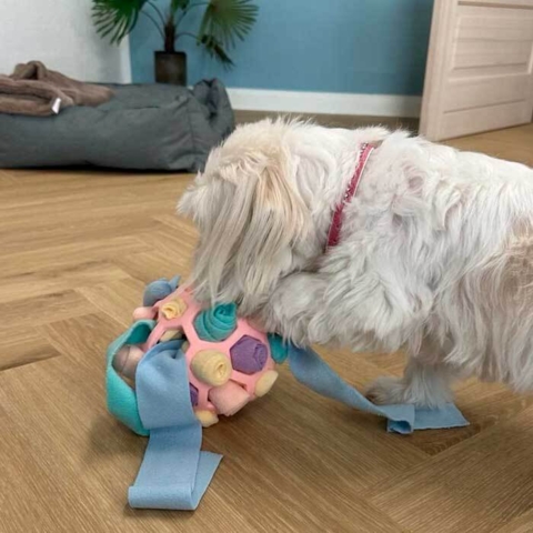 Ollipet HoliMoli Snusebold giver timevis af leg og aktivering