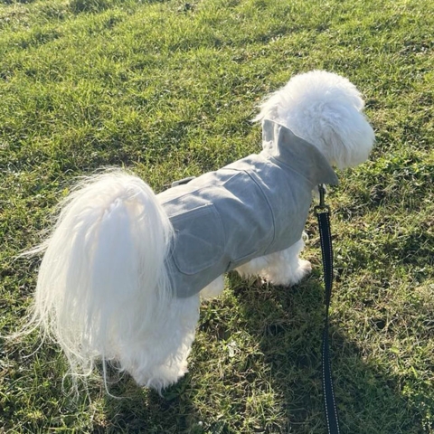 Ollipet Outdoor Grey Warmer med lille lomme