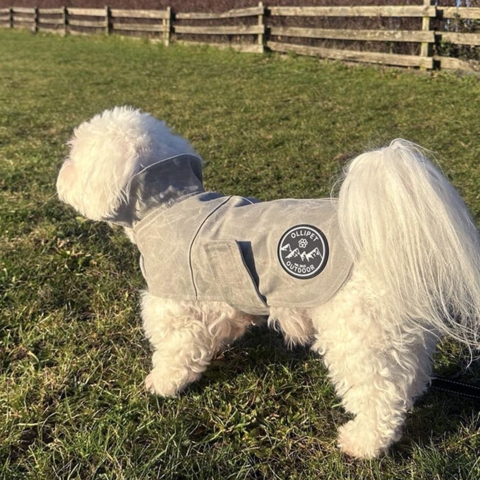 Ollipet Outdoor Grey Warmer med lille lomme