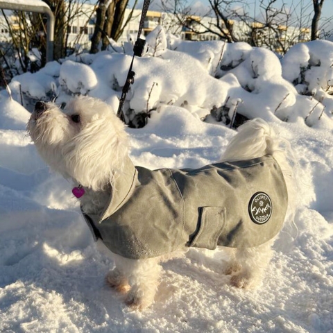 Ollipet Outdoor Grey Warmer med lille lomme