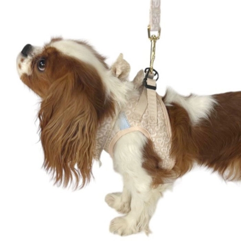 Flot og stilren Step-in sele