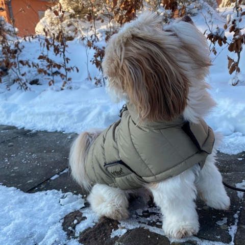 Ollipet Thunder Bay vinterjakke | God pasform