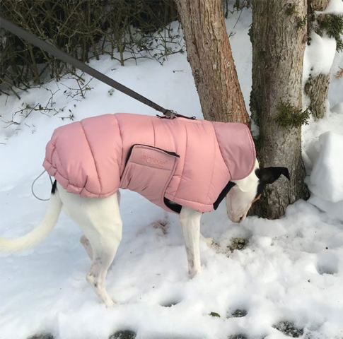 Ollipet Thunder Bay vinterjakke | God pasform