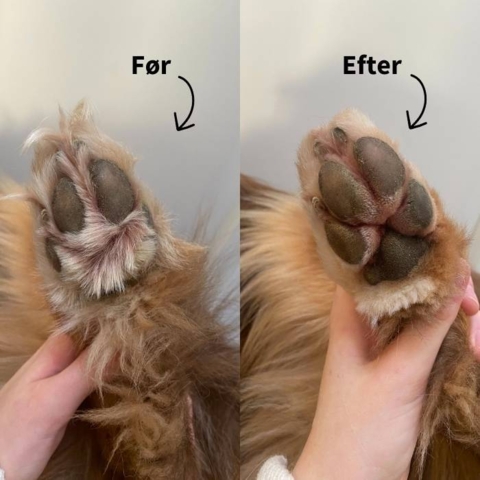 Ollipet Pote klippemaskine 2i1 | 2 Speed før og efter billede af klipning mellem trædepuderne