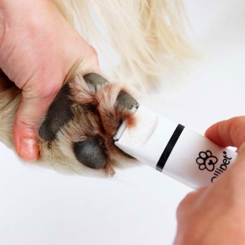 Støjsvag poteklippemaskine til at klippe pels omkring hundens poter