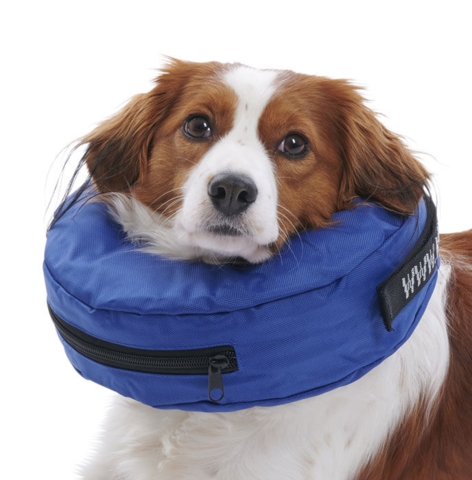 Buster oppustelig krave