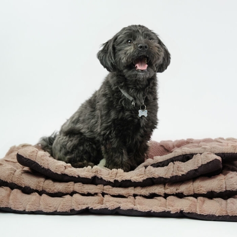 Ollipet Cozy dream madras