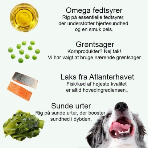 Dette vådfoder er rig på vitaminer og andre vigtige næringsstoffer