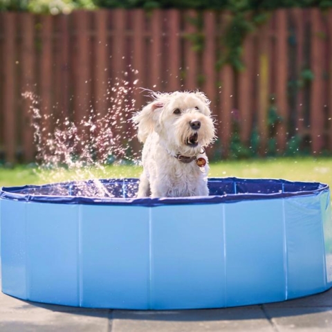 Active Canis Dog Pool er en stor hundepool på hele 100x30cm.