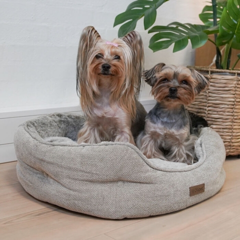 Ollipet Cocoon hundeseng. Lækker blød og i et flot design. Str M