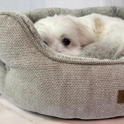 Ollipet Cocoon hundeseng. Lækker blød og i et flot design.