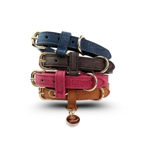 Fire flotte hundehalsbånd i lækre afdæmpede farver.