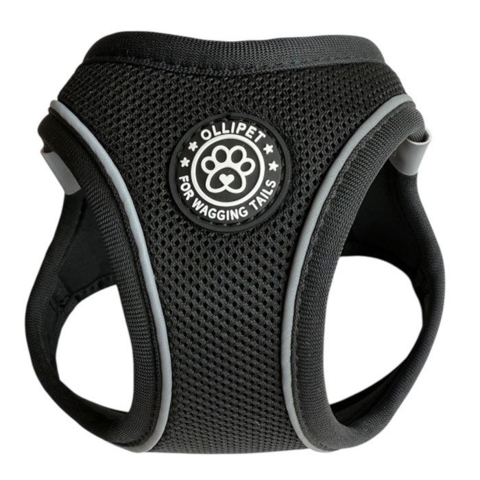 Ollipet For Wagging Tails | Step in Sele