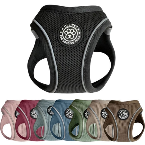 Ollipet for wagging tail step om hundesele fås i 8 flotte farver