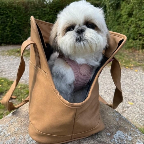 Ollipet Nice hundetasken har en åbning foran så hunden nemt kan følge med i hvad der sker omkring den når i er på tur.