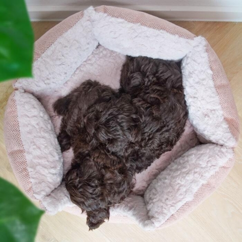 Flere størrelser så du kan have plads til flere hvalpe