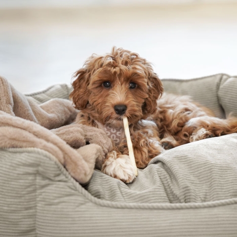 Nordic Paws Fiona | Oval Hundeseng