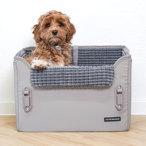 Bilsæde fra Nordic Paws, her med en skøn doodle (Maltipoo) på 4 måneder