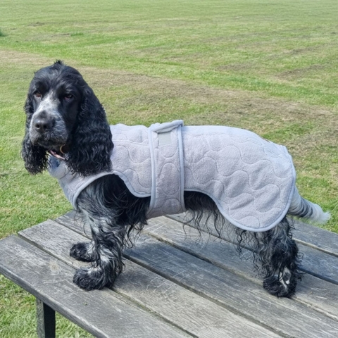 Det bedste tørredækken til din hund