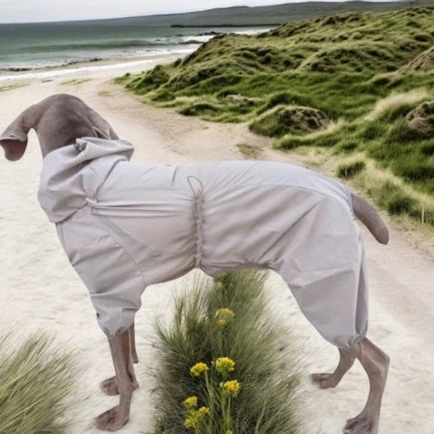 Ollipet Poncho Regndragt til Weimaraner i str 55cm m. 3/4 lange ben