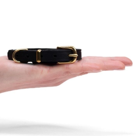 Et super elegant hundehalsbånd perfekt hvis du har en mindre hunderace.