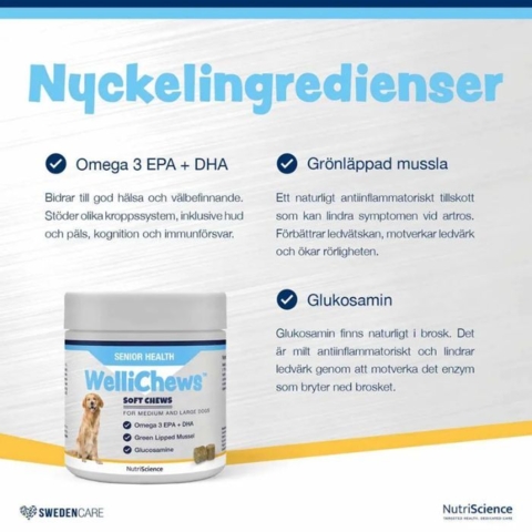 Senior tilskudsfoder der understøtter sunde led og velvære ved små hunde