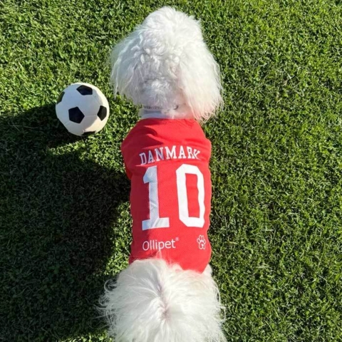 Ollipet Sports T-Shirt