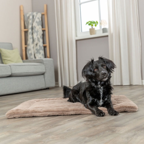 Trixie Lonni liggeunderlag | Blød fløjlsplys